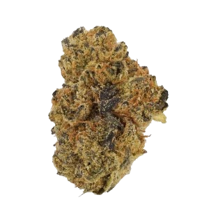 Medizinisches Cannabis Dawg-Bud-Fusion