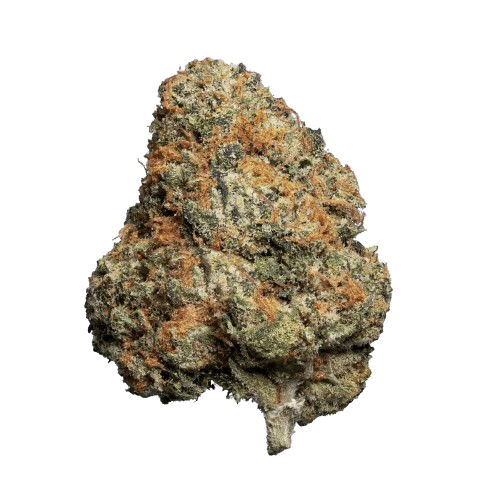 Jet Fuel Gelato Cannabisblüten